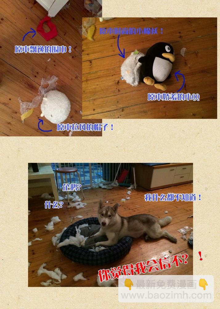 🍹狐妖小红娘 总081·你为何要来！（下） 第12页