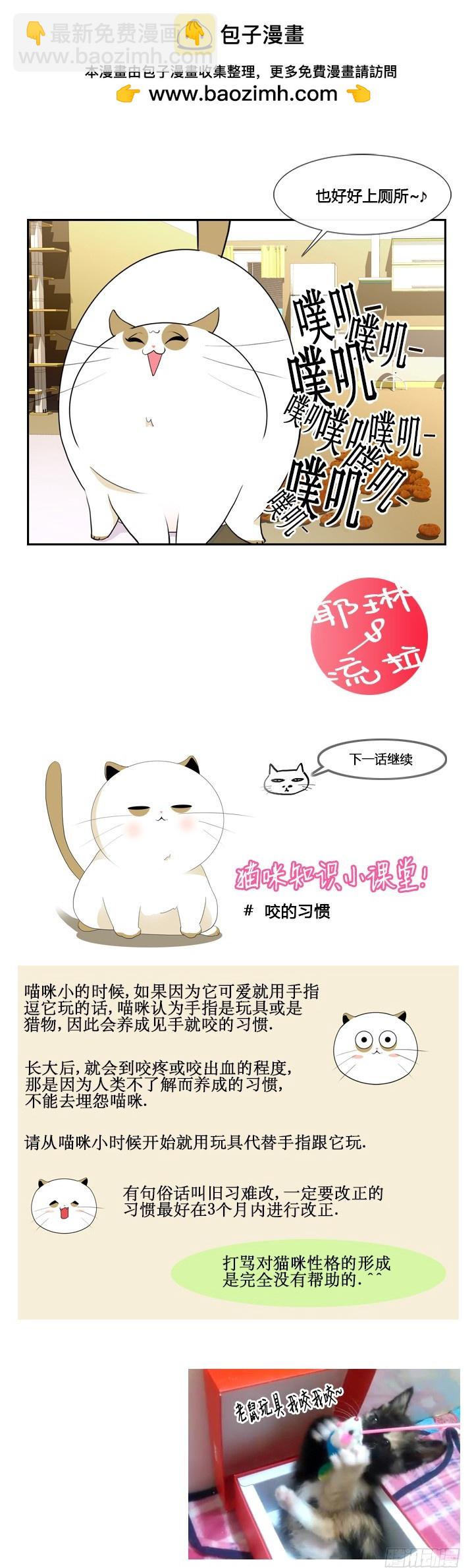 第四十一话-第41话