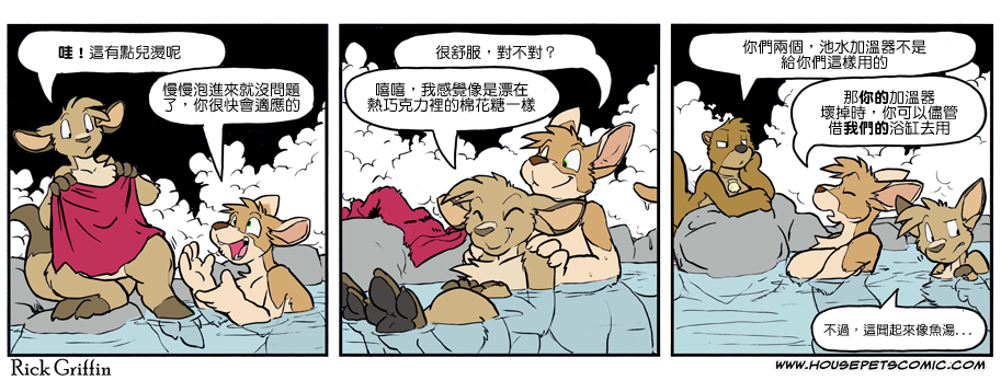 🍴家宠 第1073话 第1页