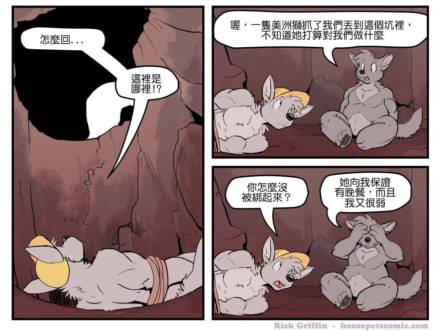 🍴家宠 第1423话 第1页