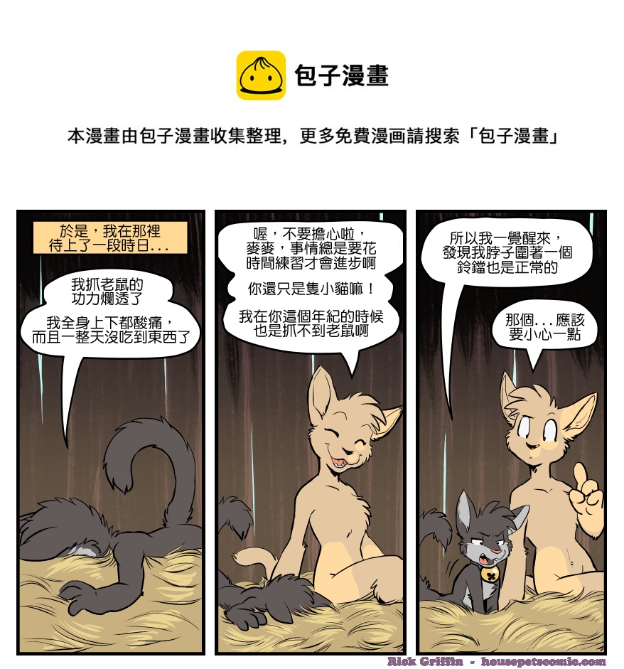 🍴家宠 第1502话 第1页