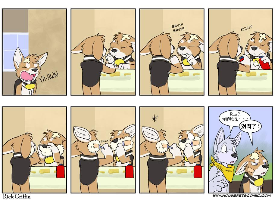 🍴家宠 第295话 第1页