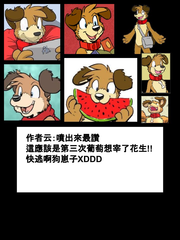 🍴家宠 第377话 第2页
