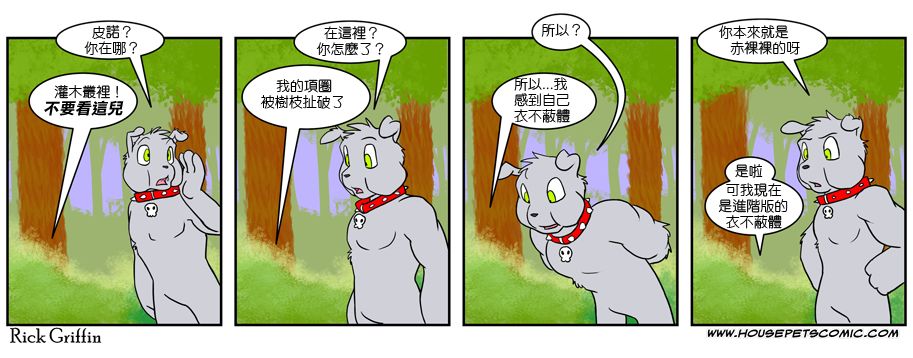 🍴家宠 第385话 第1页