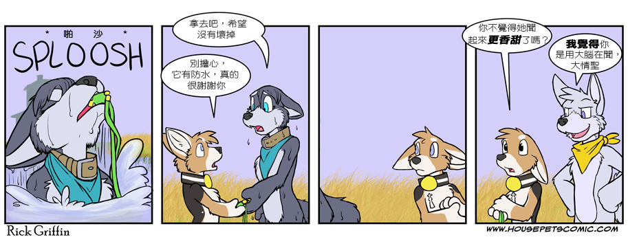 🍴家宠 第481 第1页