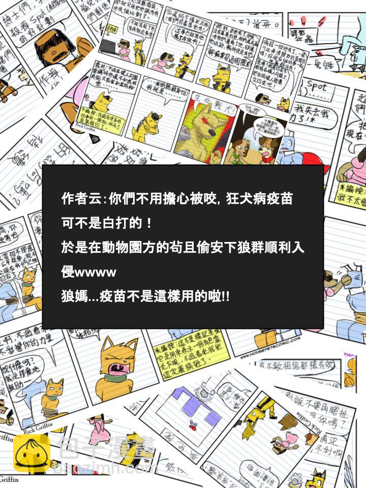 🍴家宠 第487话 第2页