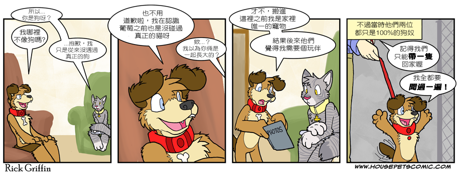 🍴家宠 第501话 第1页
