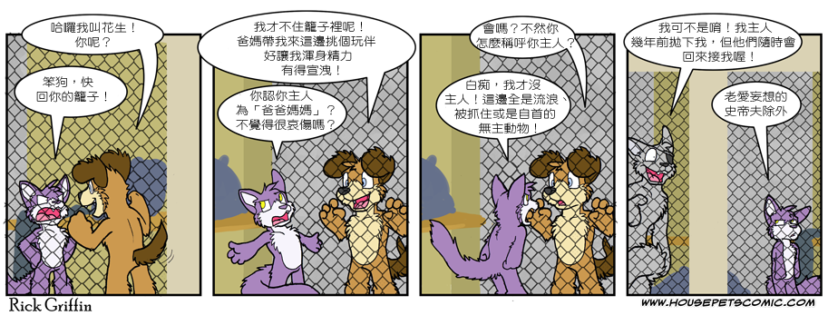 🍴家宠 第503话 第1页