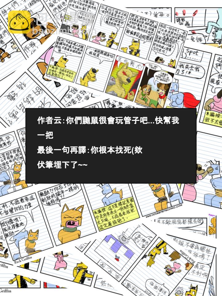 🍴家宠 第541话 第2页