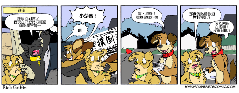 🍴家宠 第891话 第1页