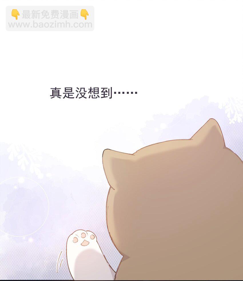 001 充满智慧的小猫咪(1/2)-第1话
