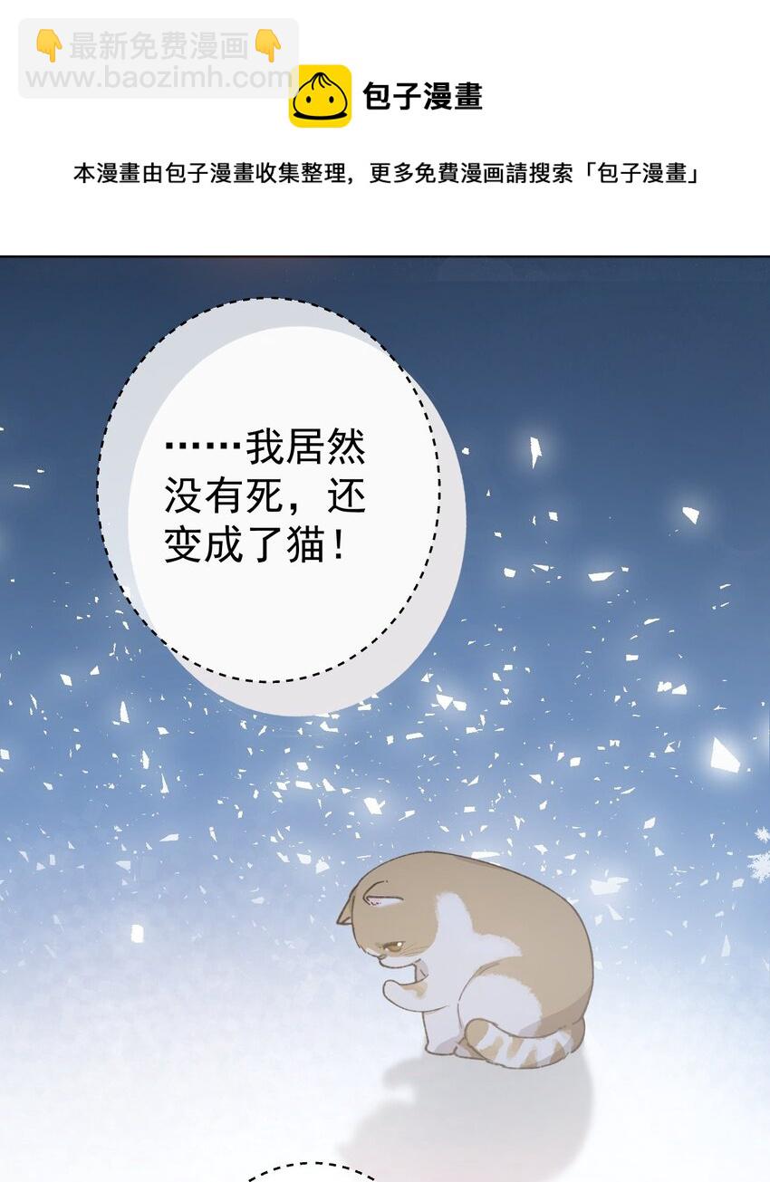 001 充满智慧的小猫咪(1/2)-第1话