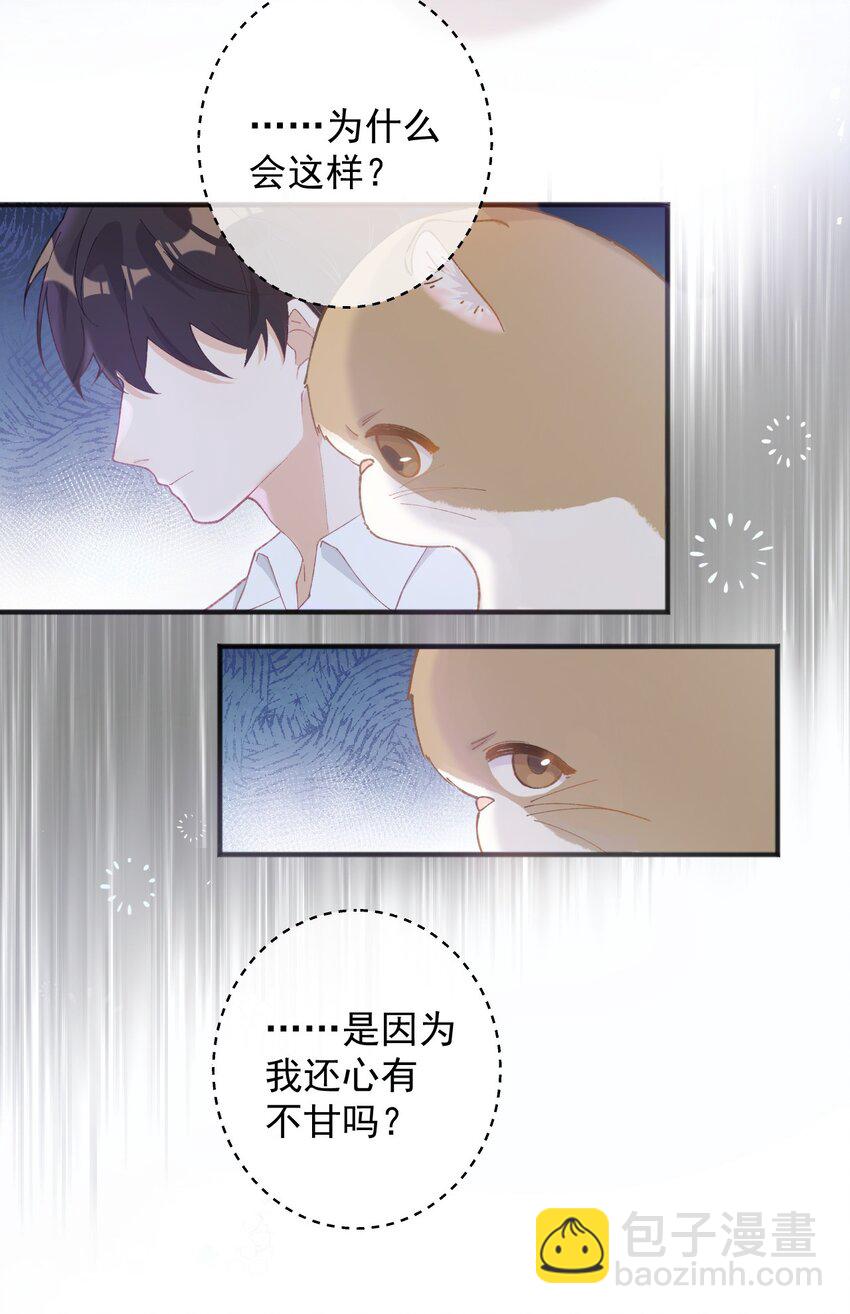 001 充满智慧的小猫咪(1/2)-第1话