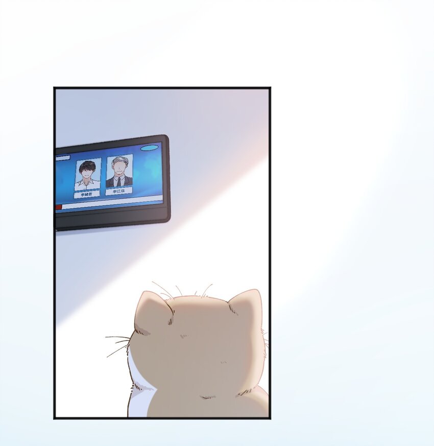 001 充满智慧的小猫咪(1/2)-第1话