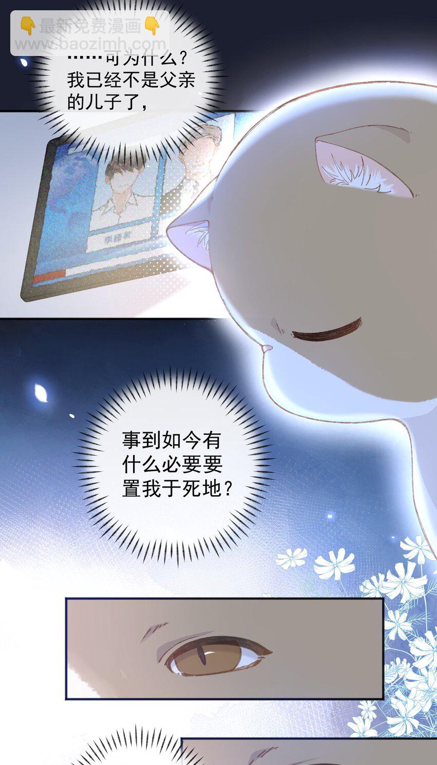 001 充满智慧的小猫咪(1/2)-第1话