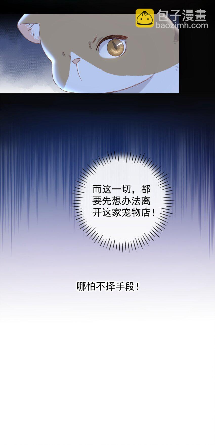 001 充满智慧的小猫咪(1/2)-第1话