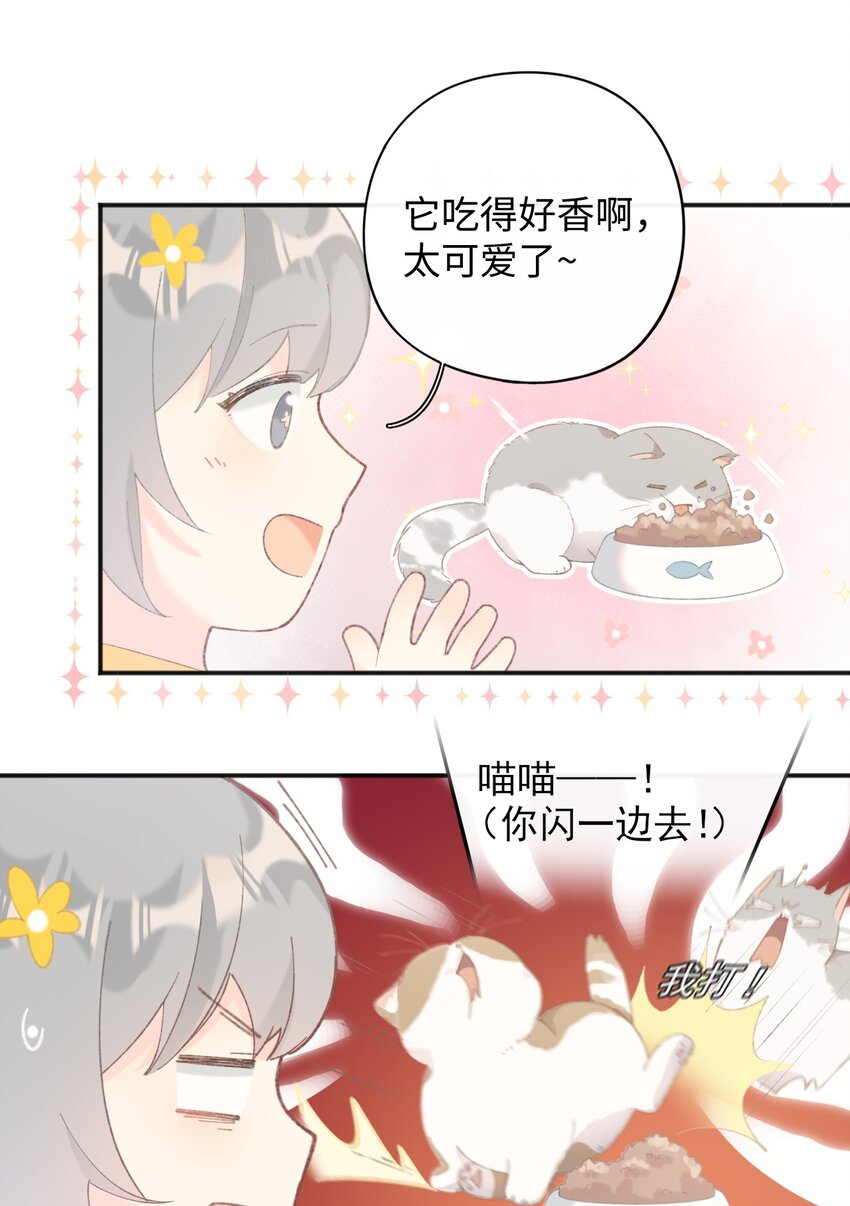 001 充满智慧的小猫咪(1/2)-第1话