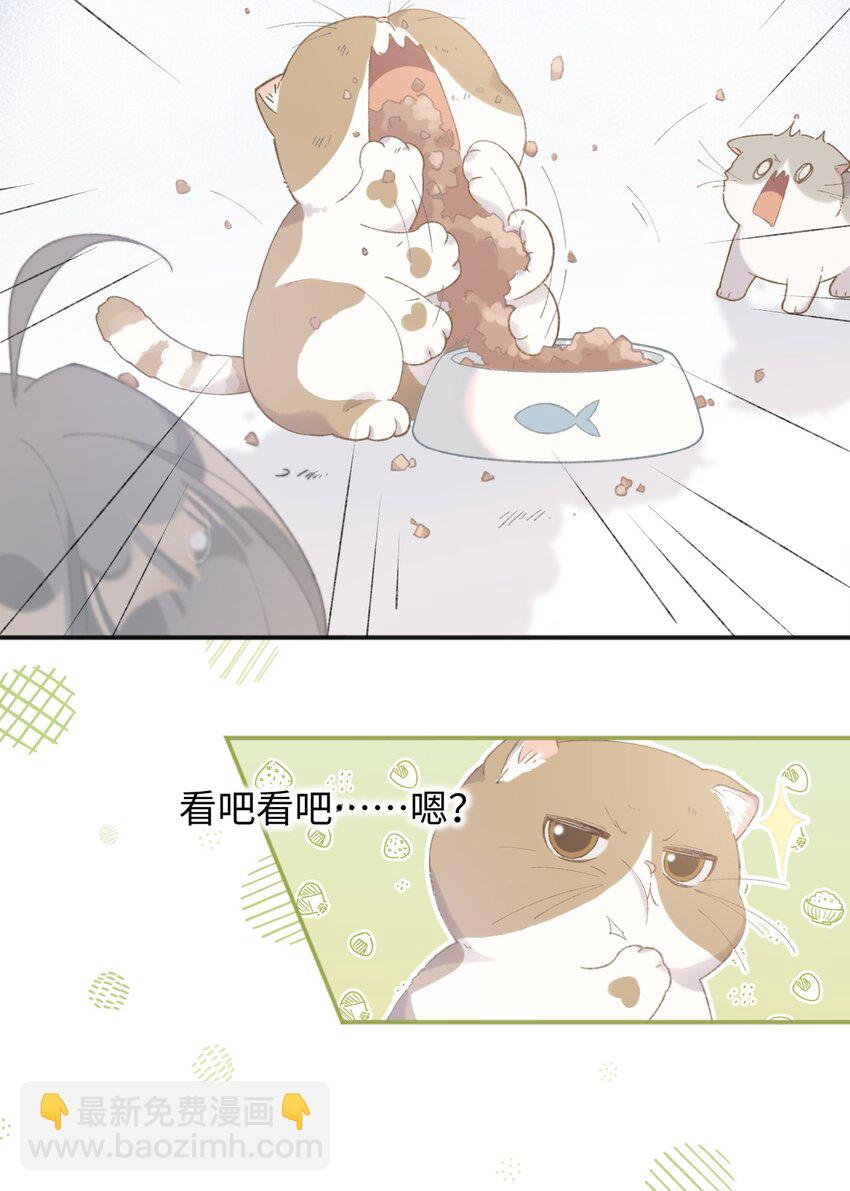 001 充满智慧的小猫咪(1/2)-第1话