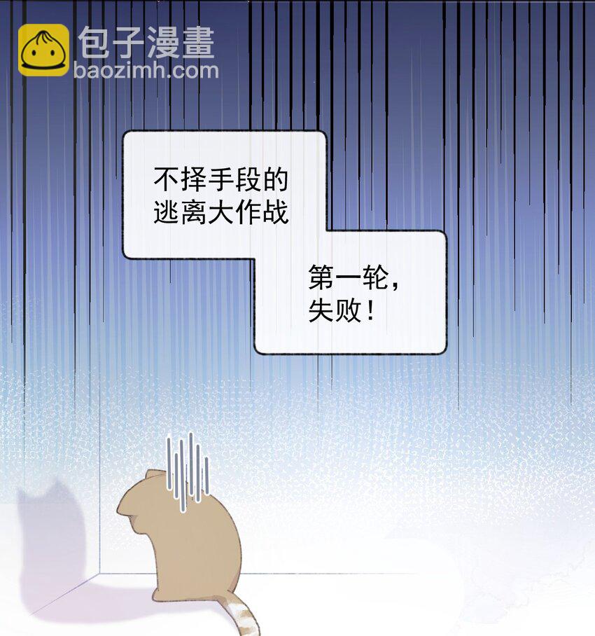001 充满智慧的小猫咪(1/2)-第1话