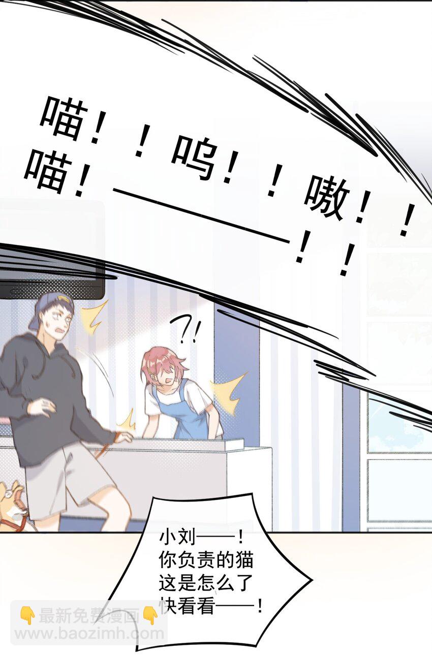 001 充满智慧的小猫咪(1/2)-第1话
