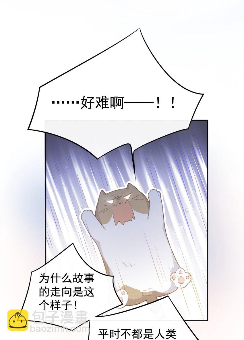 001 充满智慧的小猫咪(1/2)-第1话