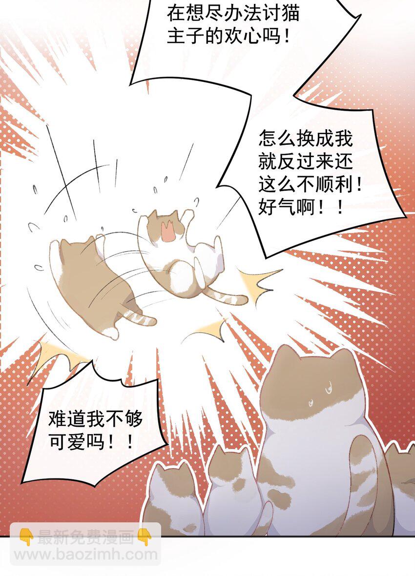 001 充满智慧的小猫咪(1/2)-第1话