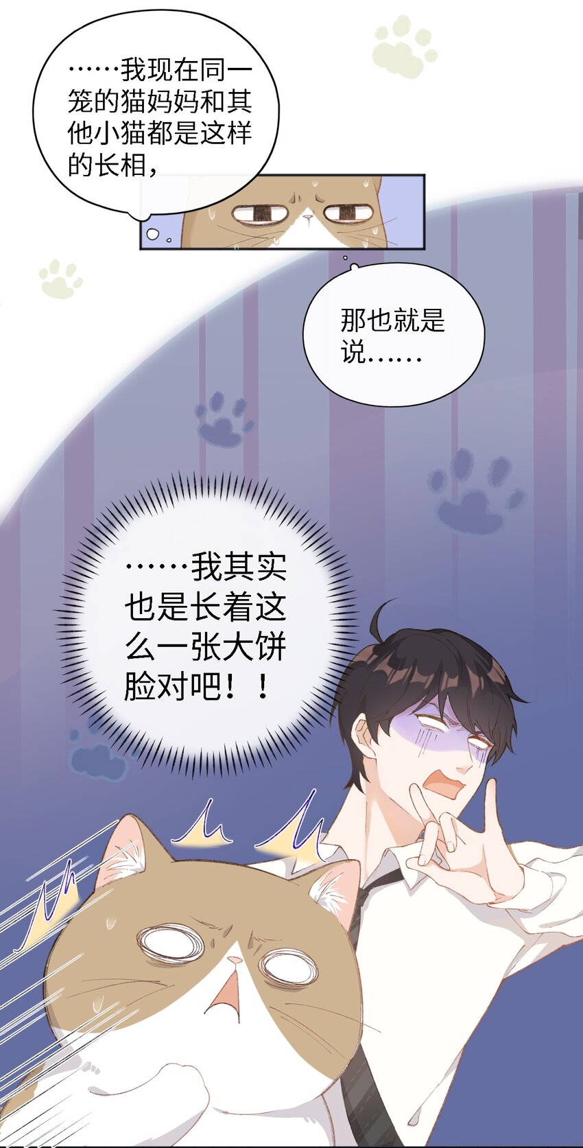 001 充满智慧的小猫咪(1/2)-第1话