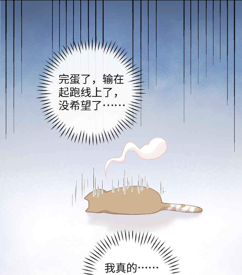 001 充满智慧的小猫咪(1/2)-第1话