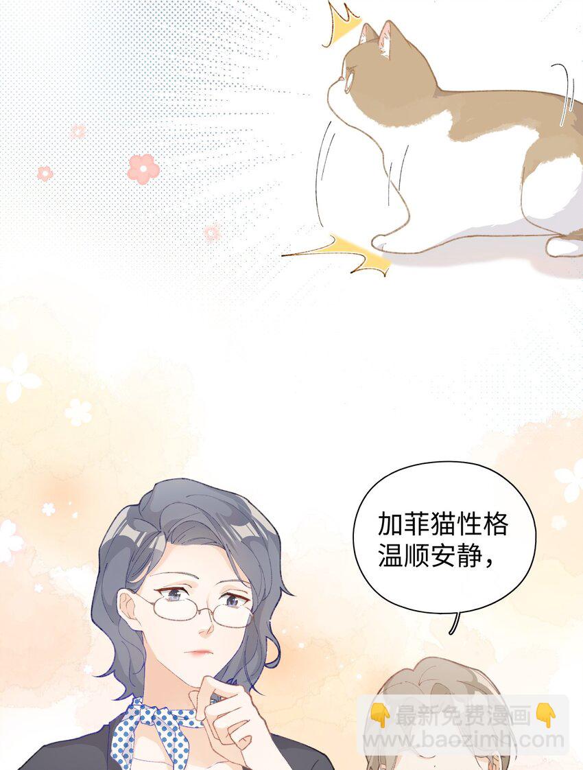 001 充满智慧的小猫咪(1/2)-第1话