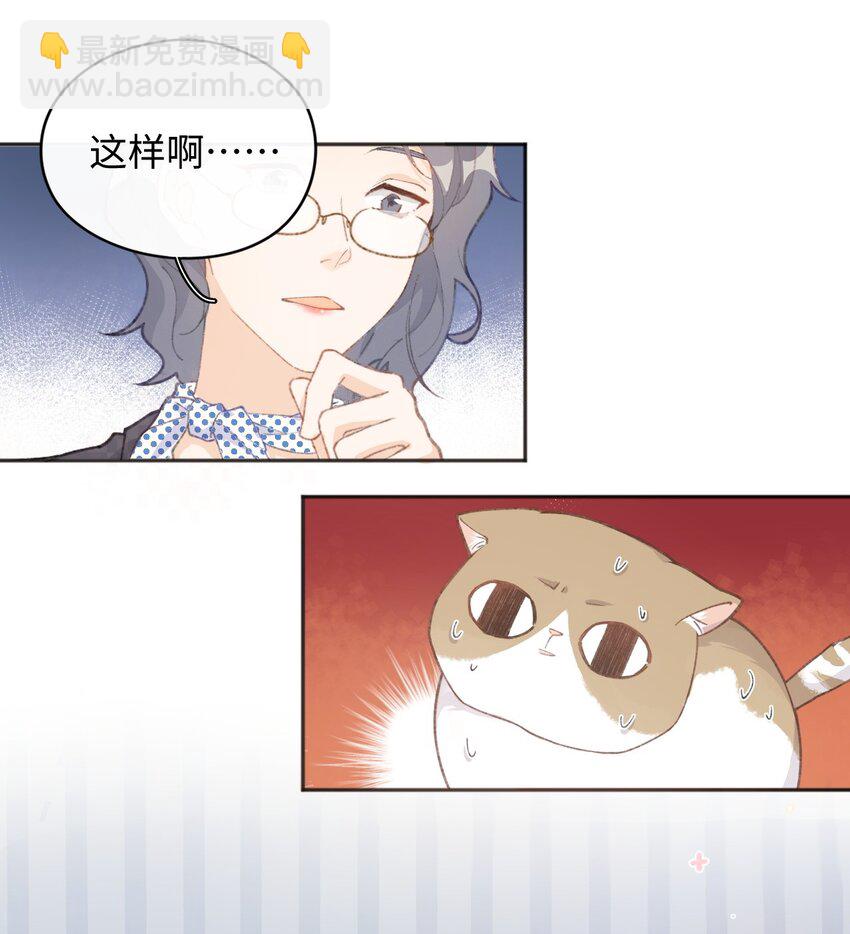 001 充满智慧的小猫咪(1/2)-第1话
