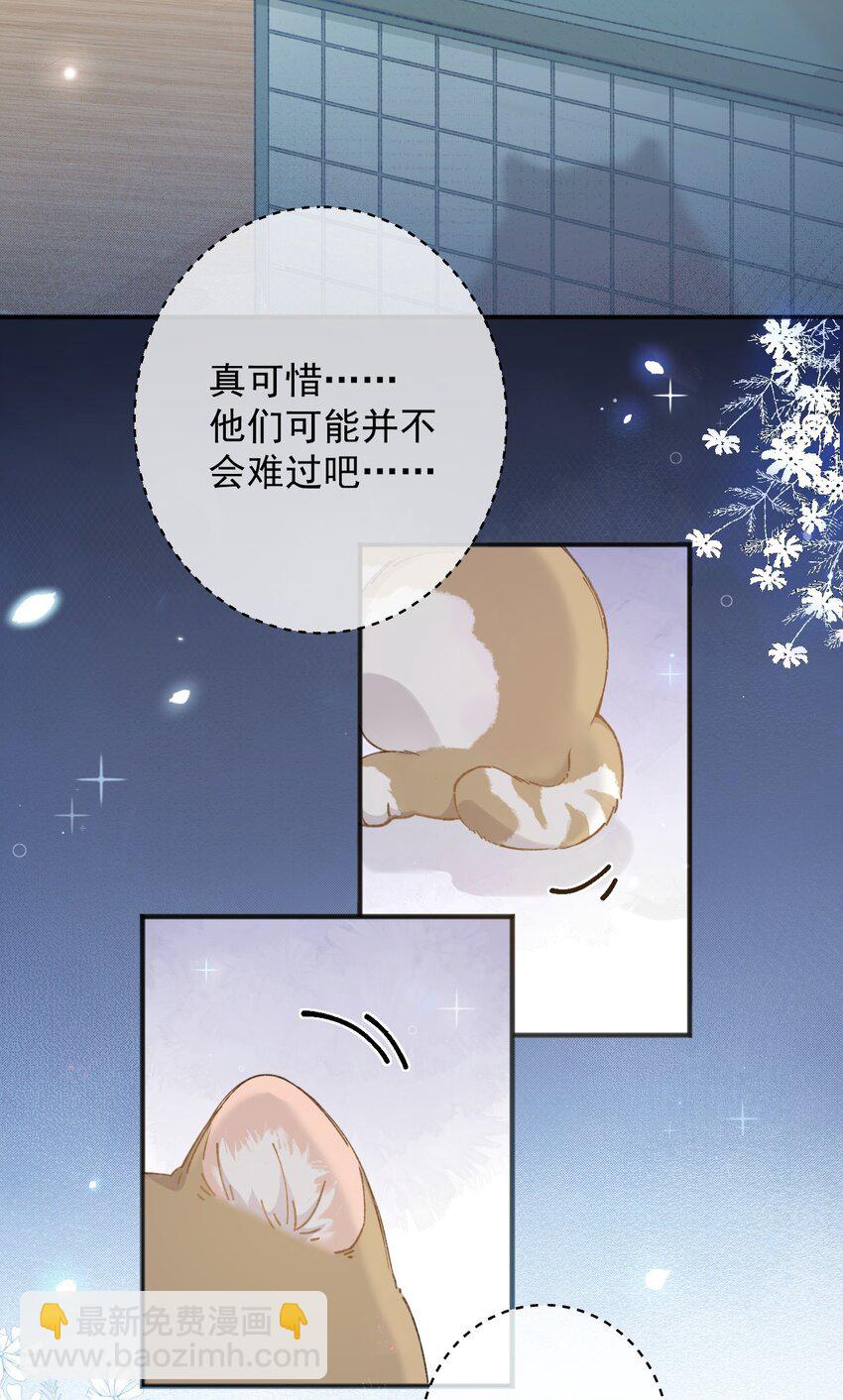 001 充满智慧的小猫咪(1/2)-第1话