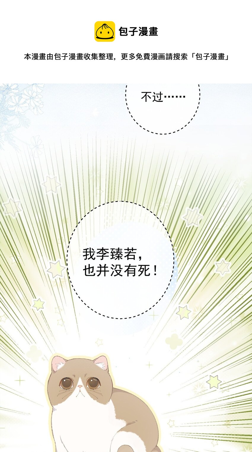 001 充满智慧的小猫咪(1/2)-第1话