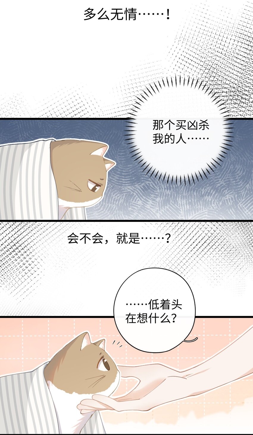 011 猛  男  盘  蛋(1/2)-第11话