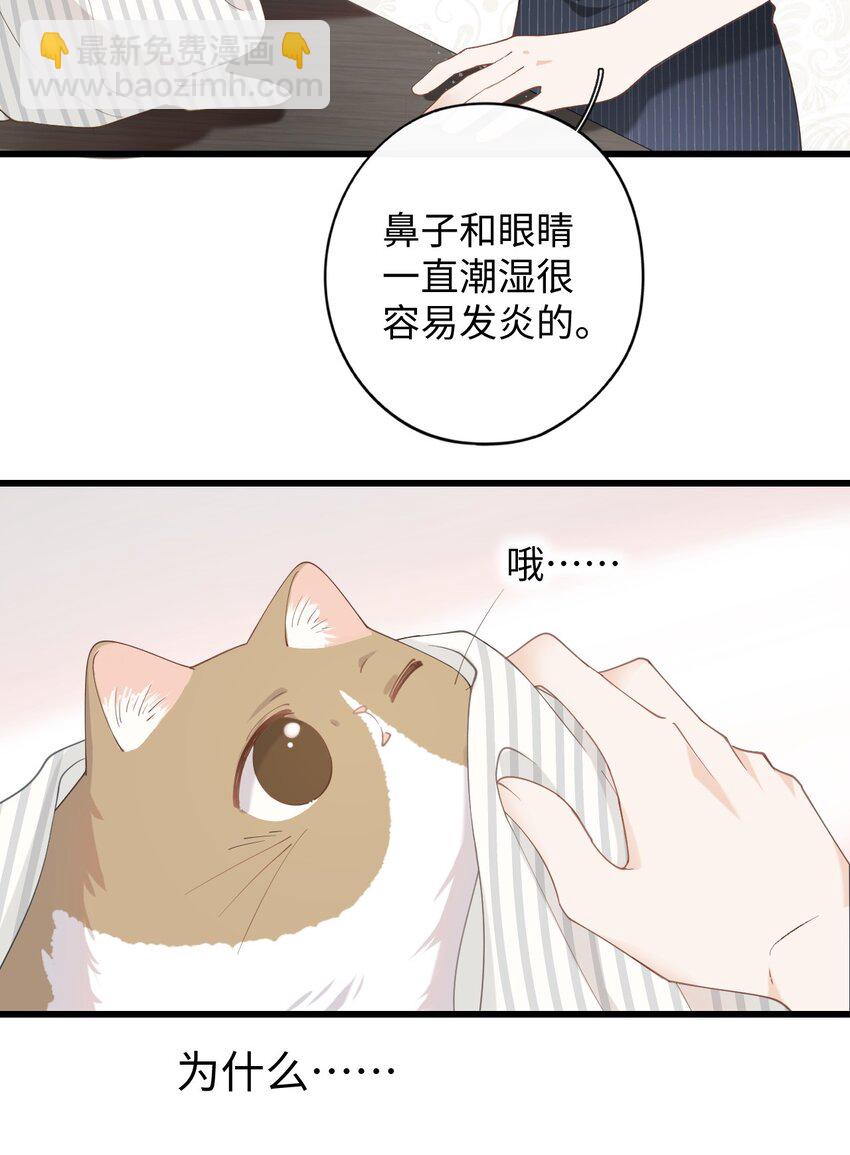 011 猛  男  盘  蛋(1/2)-第11话