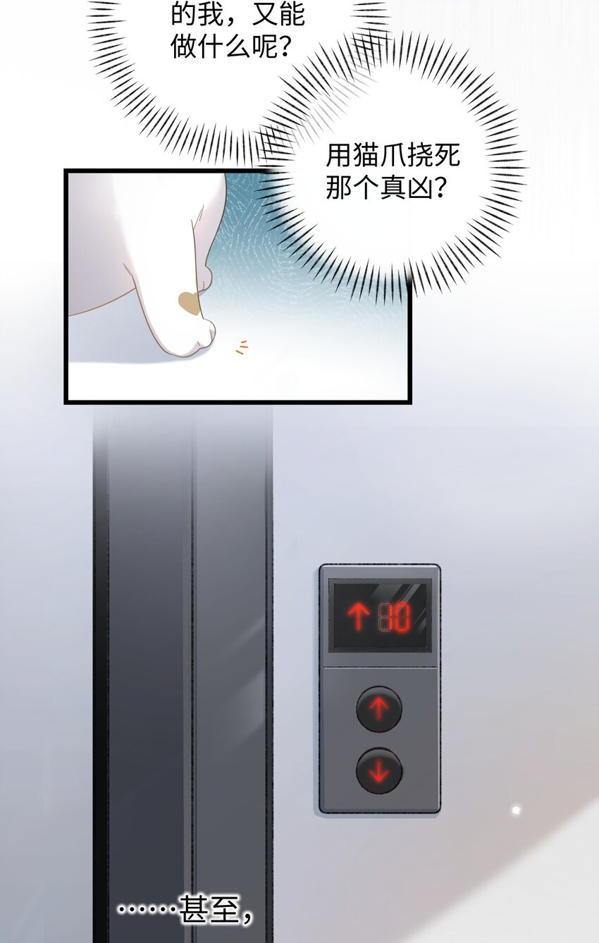 003 只是因为在电梯门口多看你一眼 (1/2)-第3话