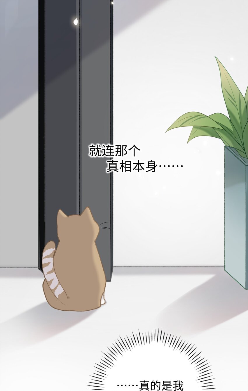 003 只是因为在电梯门口多看你一眼 (1/2)-第3话