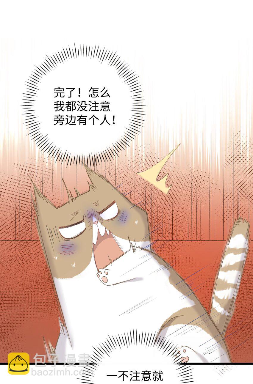 003 只是因为在电梯门口多看你一眼 (1/2)-第3话