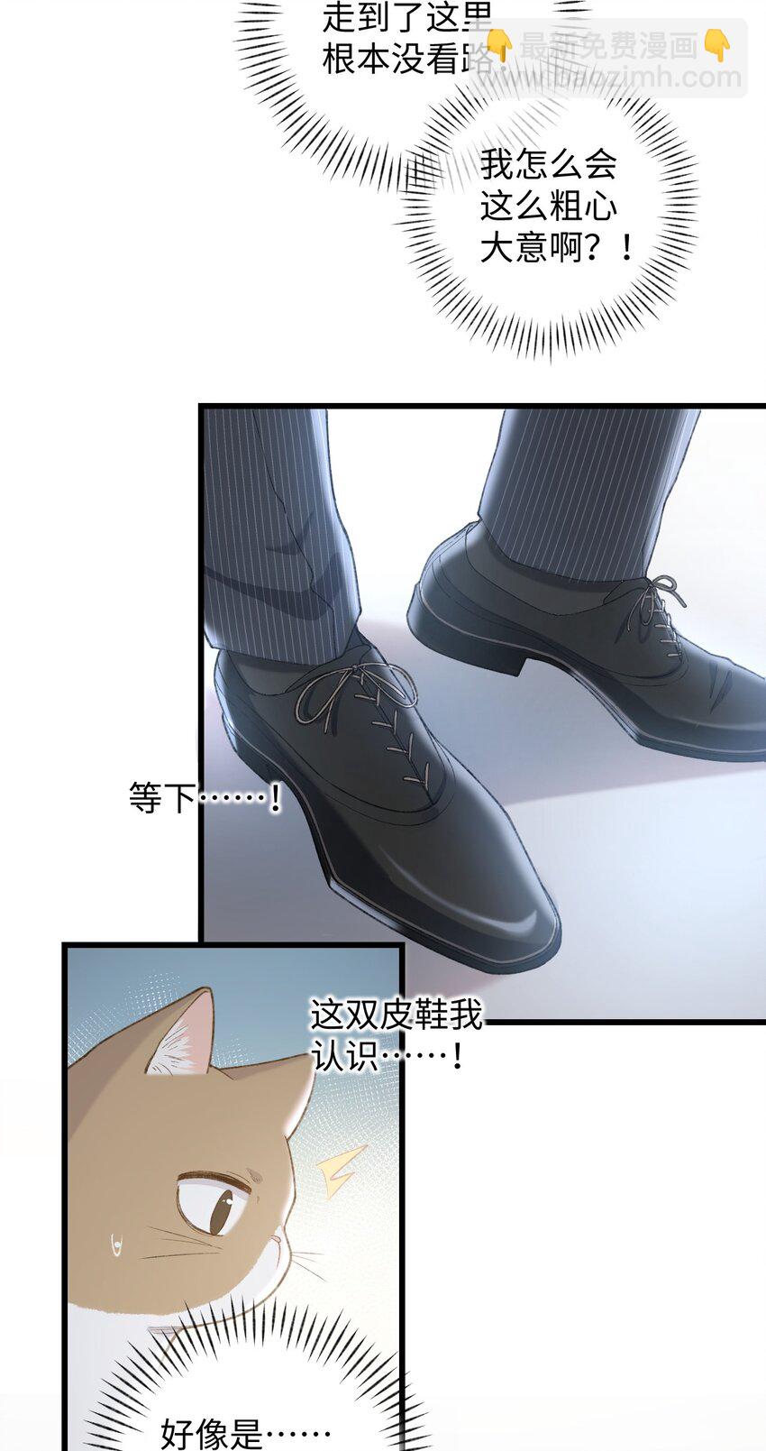 003 只是因为在电梯门口多看你一眼 (1/2)-第3话