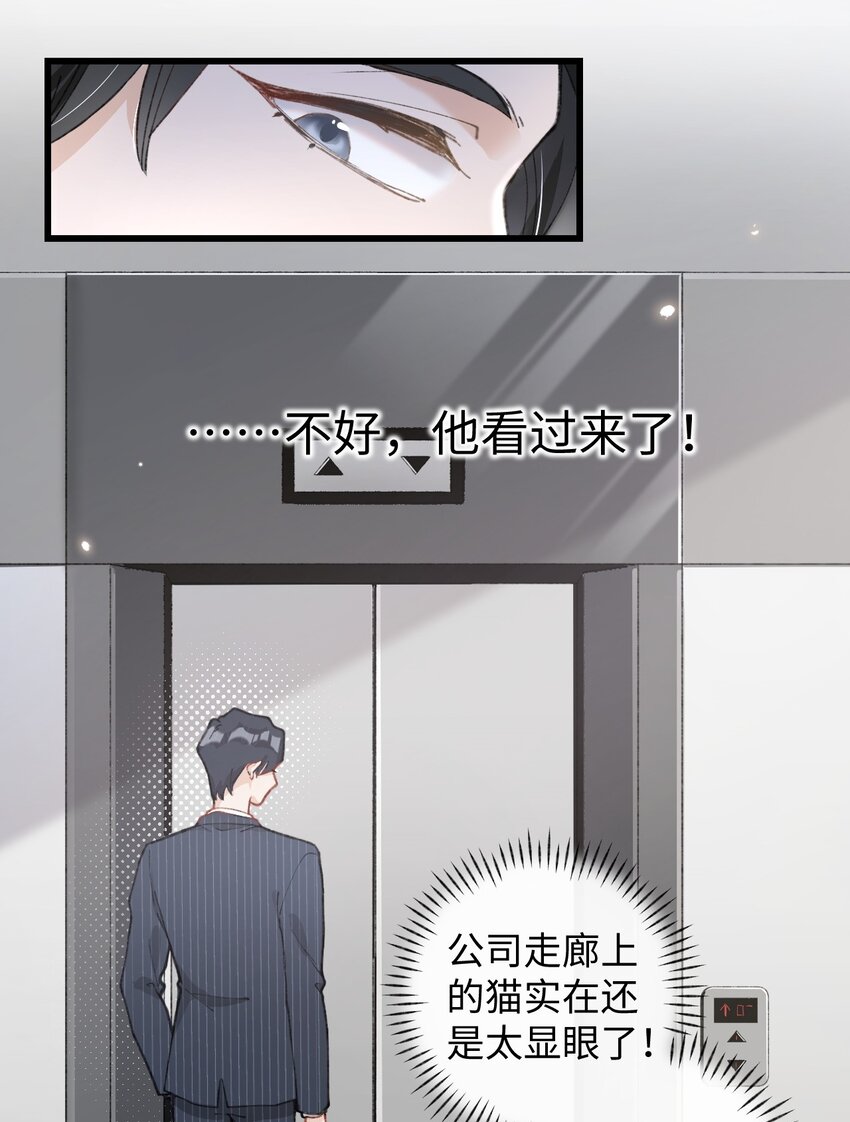003 只是因为在电梯门口多看你一眼 (1/2)-第3话