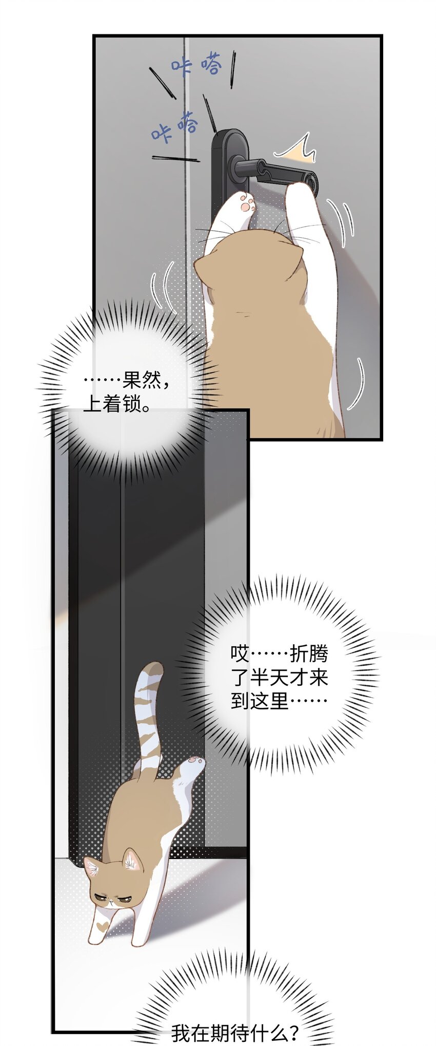 003 只是因为在电梯门口多看你一眼 (1/2)-第3话