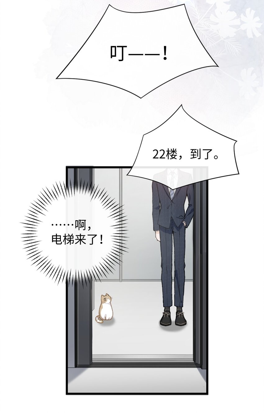 003 只是因为在电梯门口多看你一眼 (1/2)-第3话