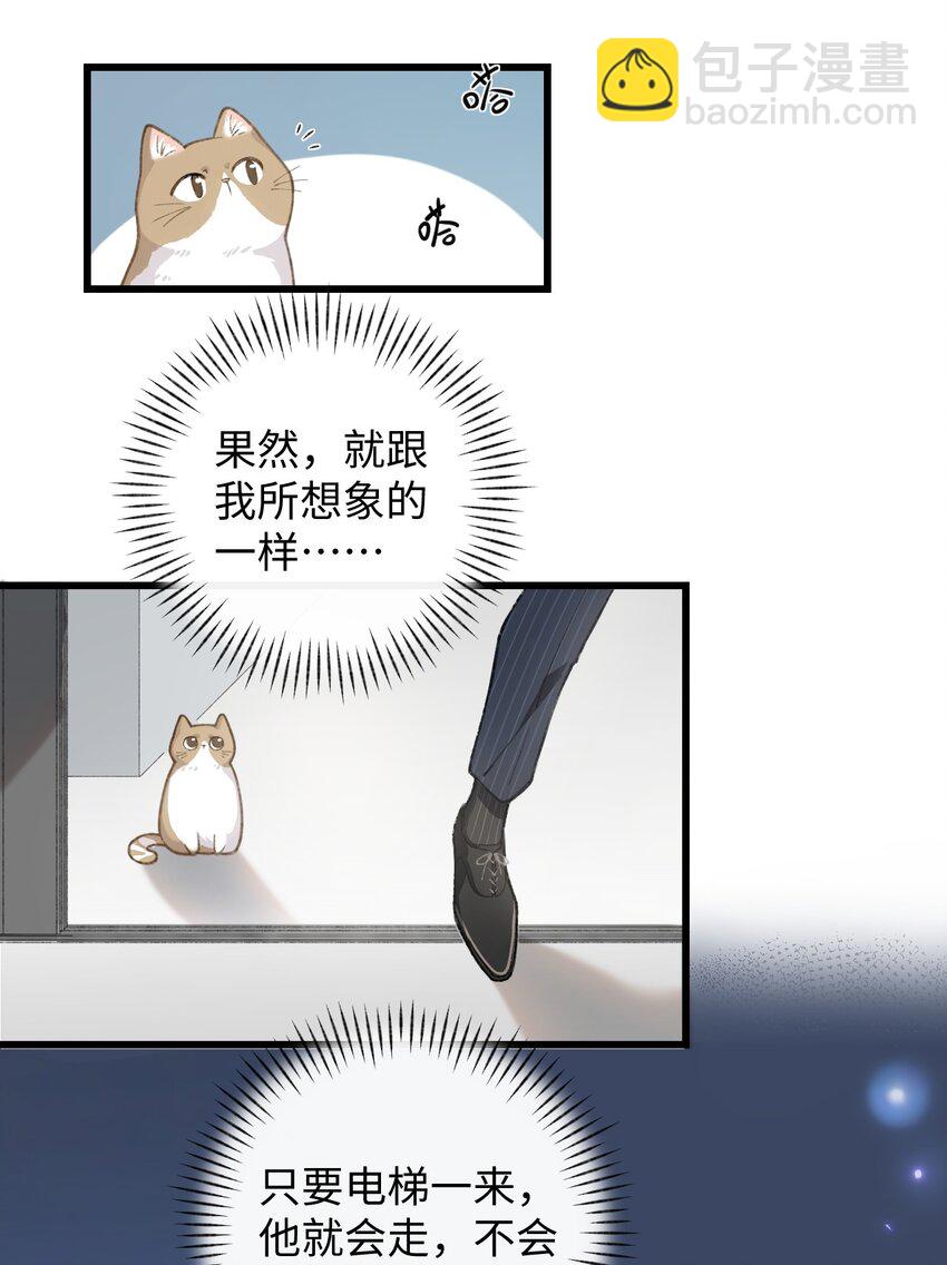 003 只是因为在电梯门口多看你一眼 (1/2)-第3话