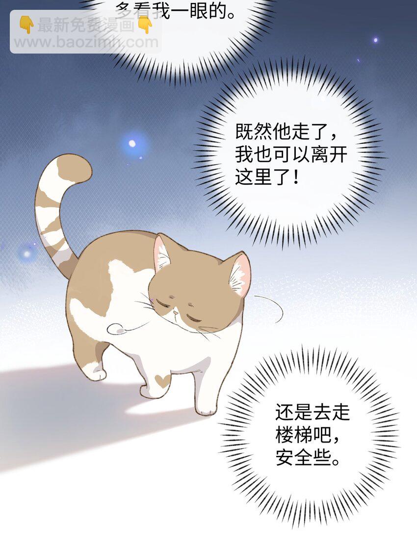 003 只是因为在电梯门口多看你一眼 (1/2)-第3话