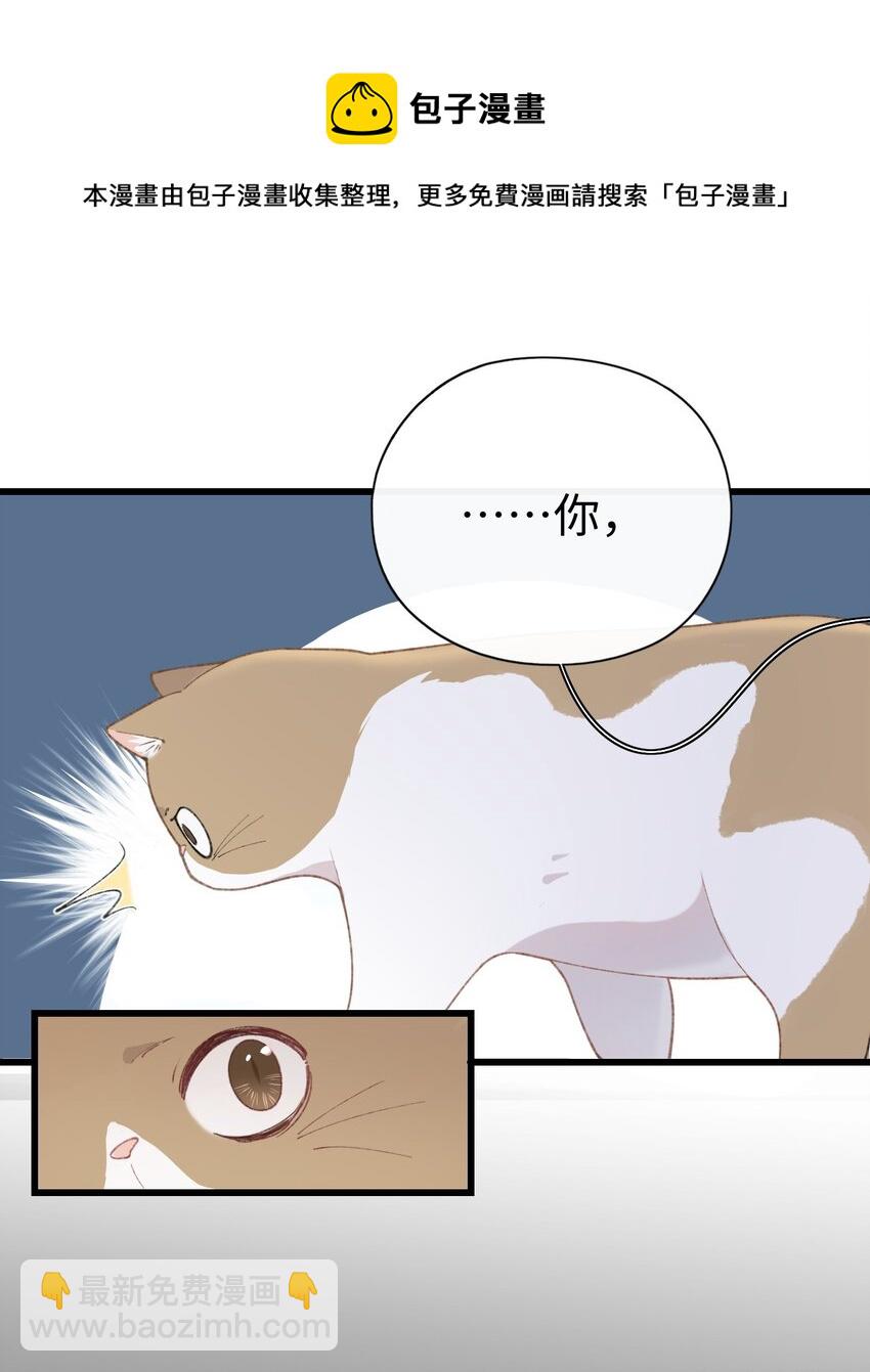 003 只是因为在电梯门口多看你一眼 (1/2)-第3话