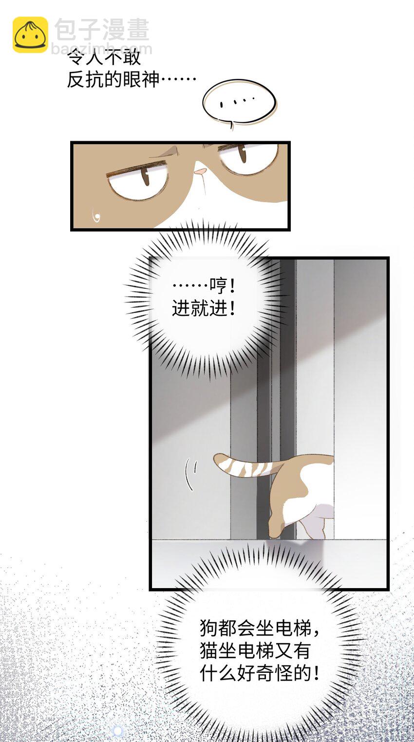 003 只是因为在电梯门口多看你一眼 (1/2)-第3话