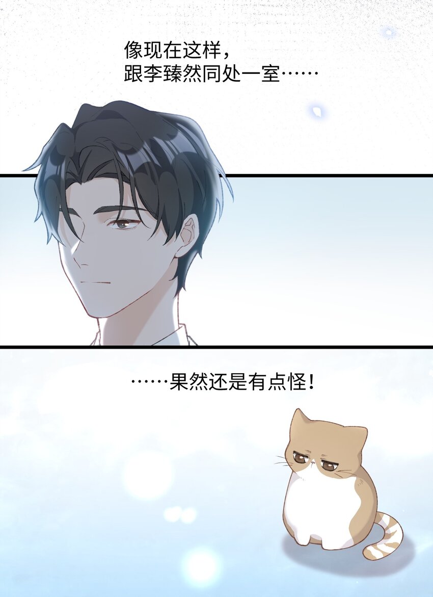 003 只是因为在电梯门口多看你一眼 (1/2)-第3话
