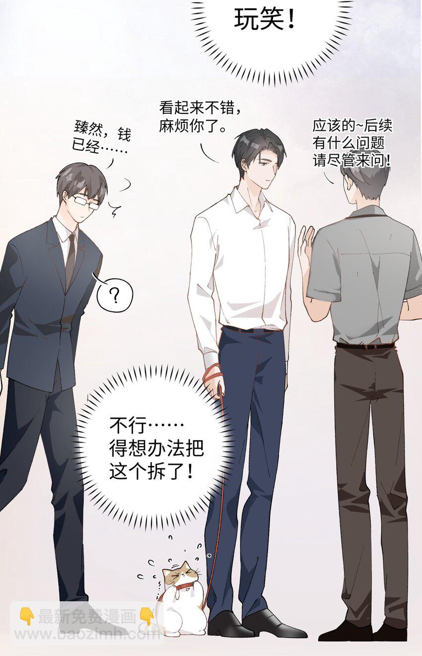 027 喵与人的信任一文不值！！！【震声】-第27话