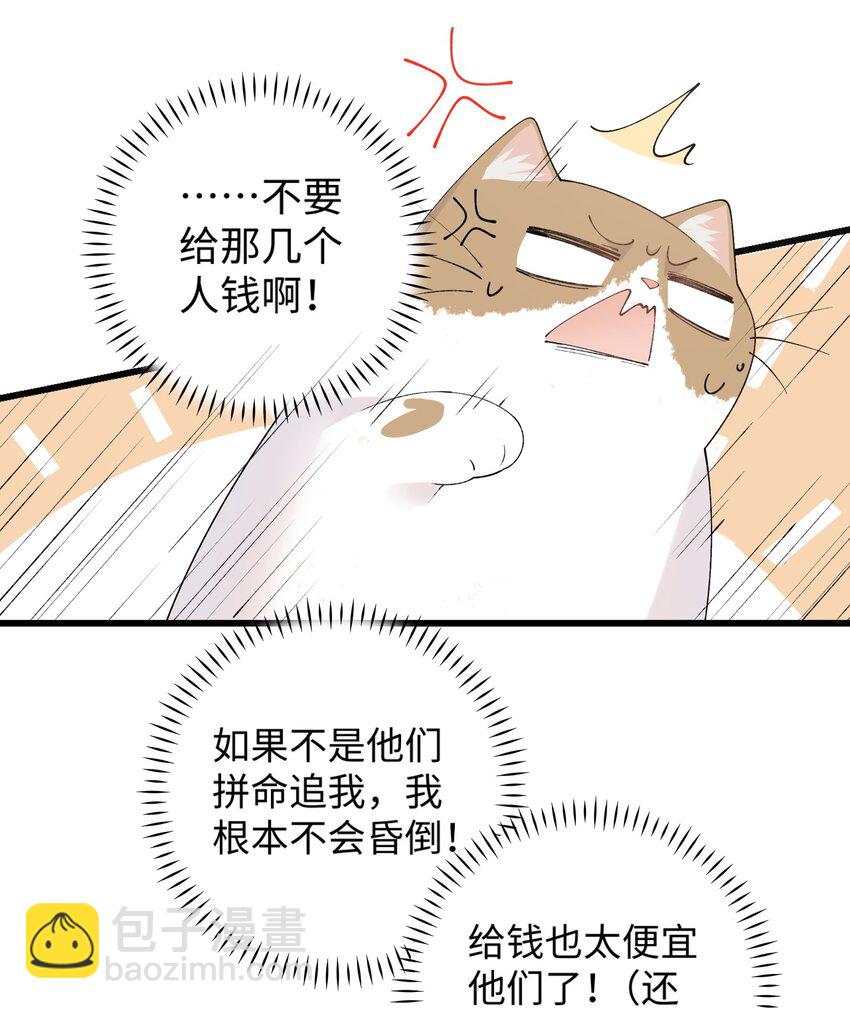 027 喵与人的信任一文不值！！！【震声】-第27话