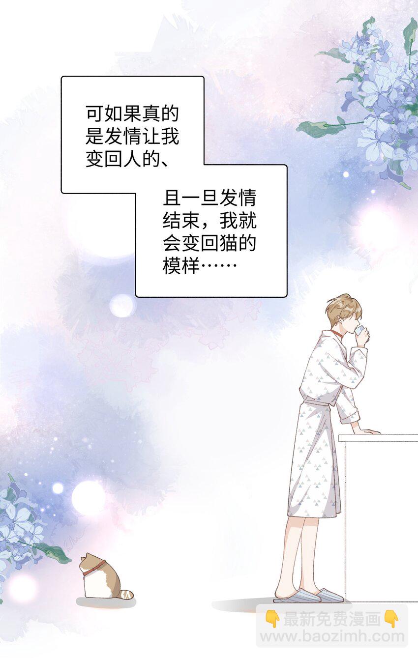 033 说出来你可能不信，我的猫变人了-第33话