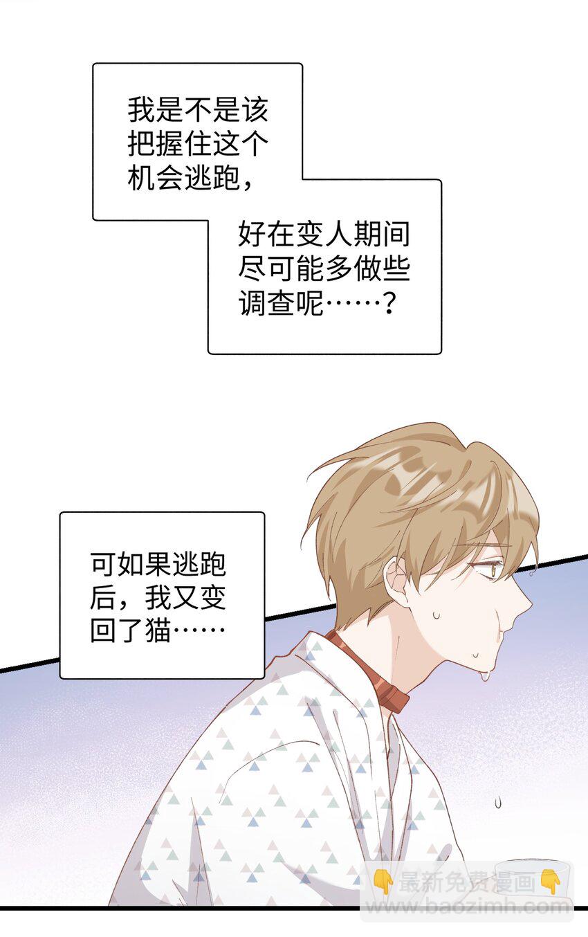 033 说出来你可能不信，我的猫变人了-第33话